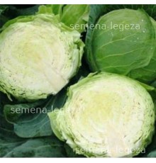 Капуста " Белоснежка" - 1 кг.