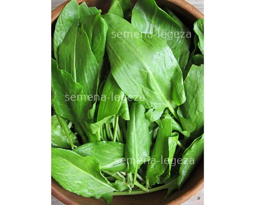 Щавель "Бельвільський" -  1 кг.