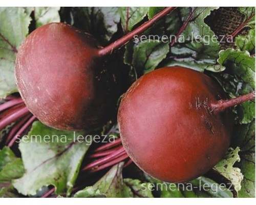 Свекла " Мармелад " - 1 кг.