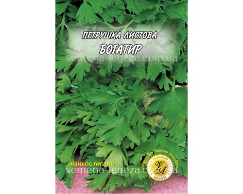 Петрушка листовая "Богатырь" 10 гр.
